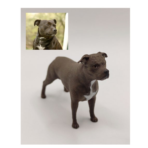 American staffordshire best sale terrier service dog
