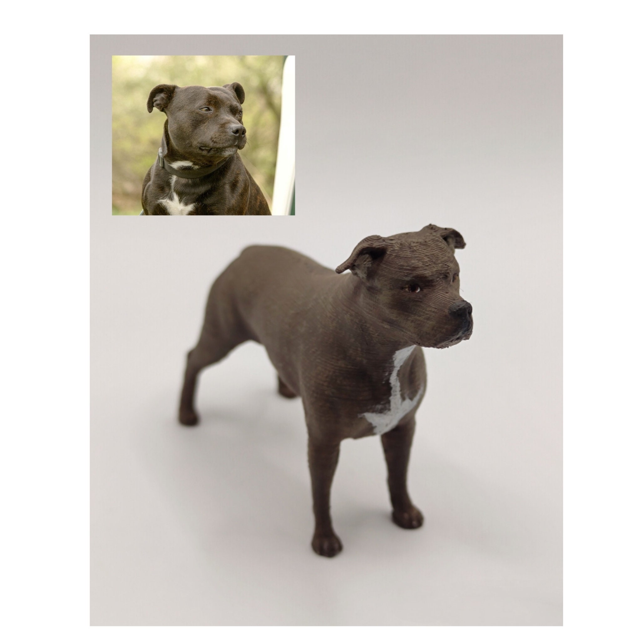 Staffy ball petbarn sales
