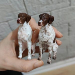 Può includere: Due figurine di cane Bracco tedesco a pelo corto, marrone e bianco. Le figurine sono sedute sulla mano di una persona. Una figurina ha macchie marroni e l'altra ha macchie bianche.