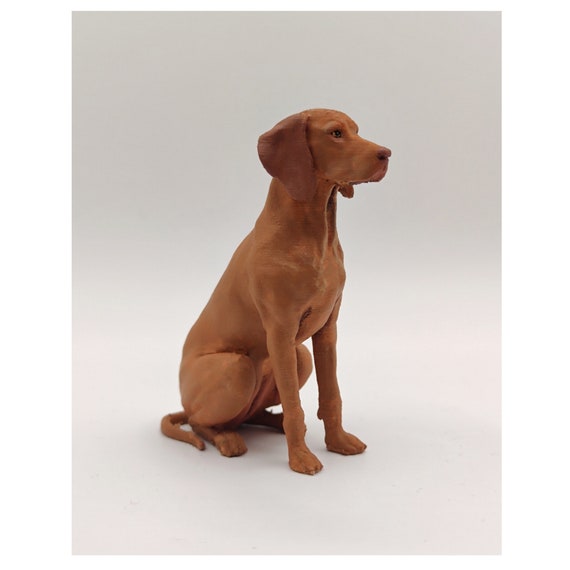 Peggy jolly vizsla sale