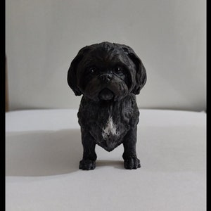 May include: A black 3D printed figurine of a Shih Tzu dog. The dog is standing with its paws together and its head tilted slightly down. The figurine has a white patch on its chest.