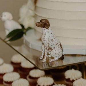 Può includere: Una torta nuziale bianca con una statuetta di cane macchiata di marrone e bianco in cima. La torta è su un supporto a più livelli con cupcake sotto.