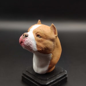 Könnte beinhalten: Eine Keramikbüste eines Pitbull-Terriers, in Braun und Weiß bemalt, auf einem schwarzen Sockel.