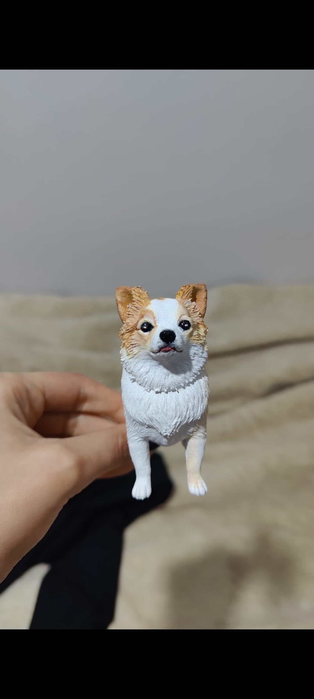 Custom Chihuahua long haired statue - Personalized painting service - Dog statue - dog sculpture - dog topper cake - topper cake -