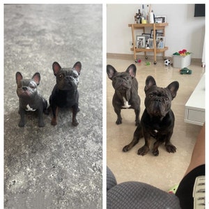 Bulldog francese personalizzato - Servizio di pittura personalizzato - Decorazione per torta Frenchie - Decorazione per torta per cane - Decorazione per torta nuziale - Compleanno per cane