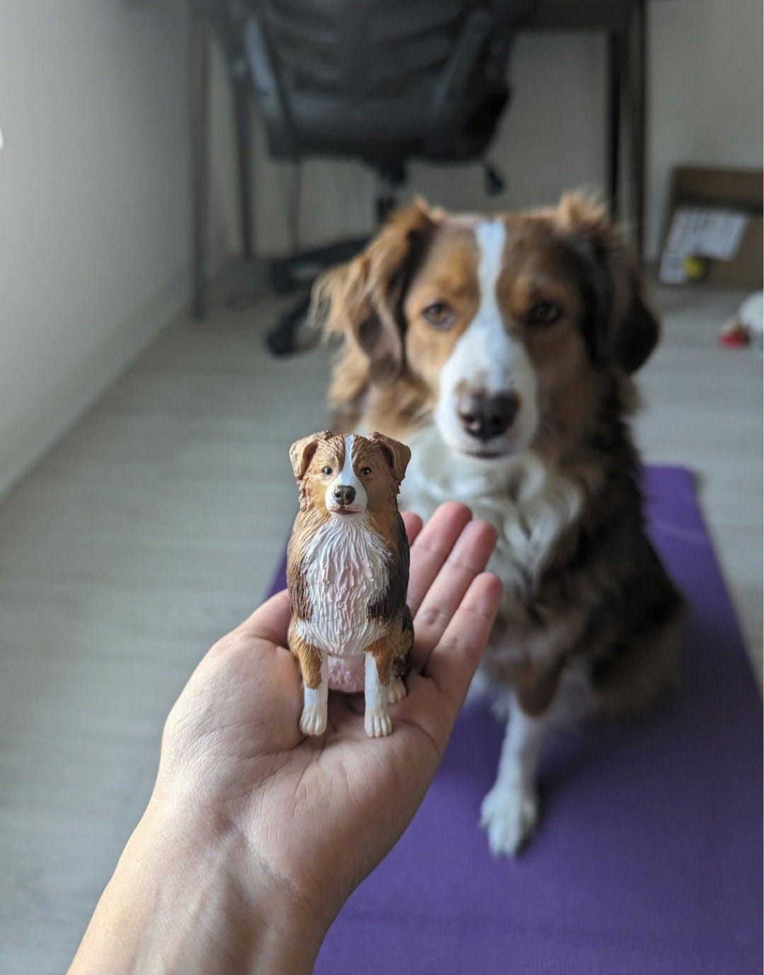 Australian shepherd plush - Etsy België, image size:1080x1379