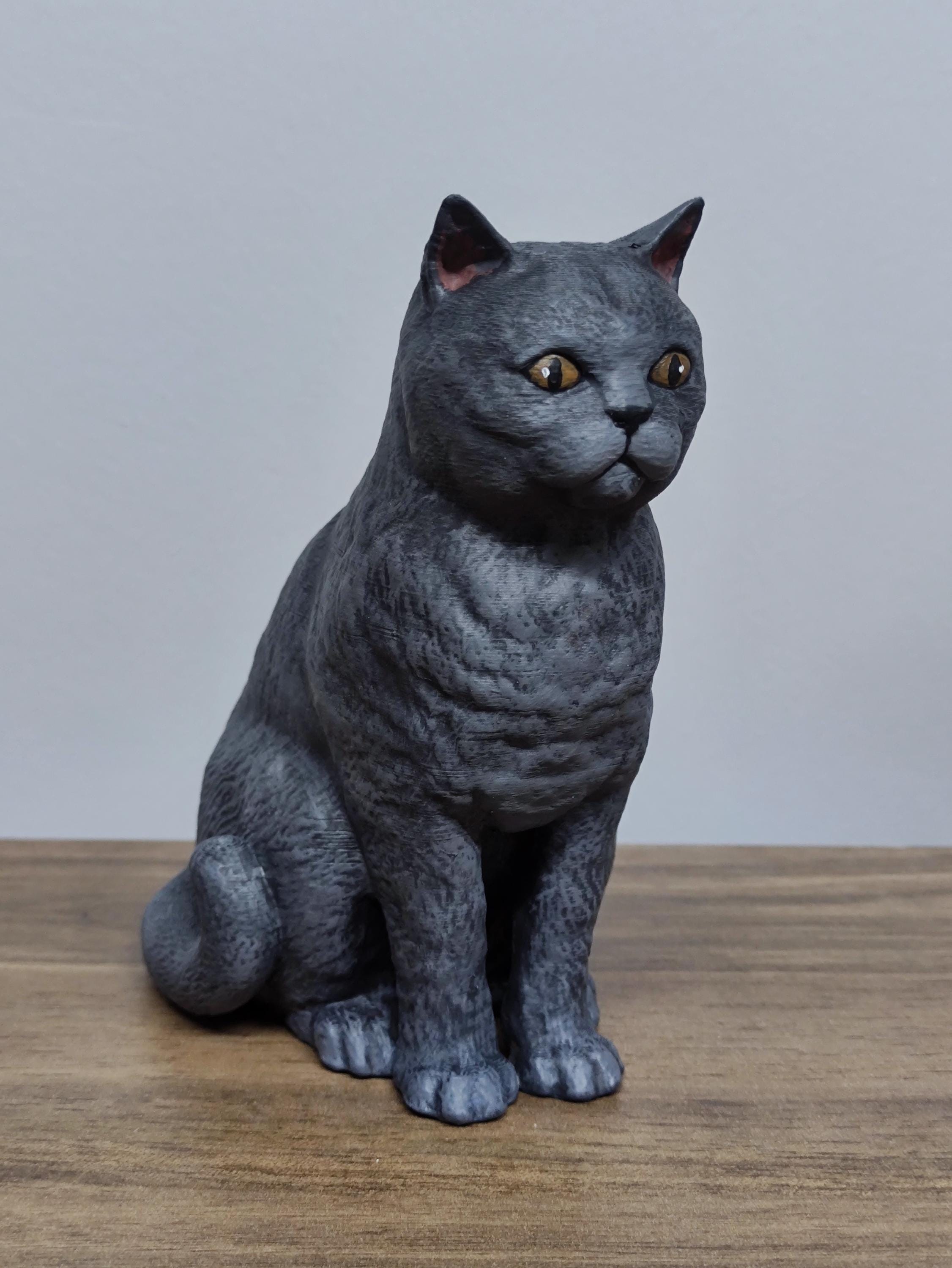 British Shorthair Cat - Personalized Painting Service