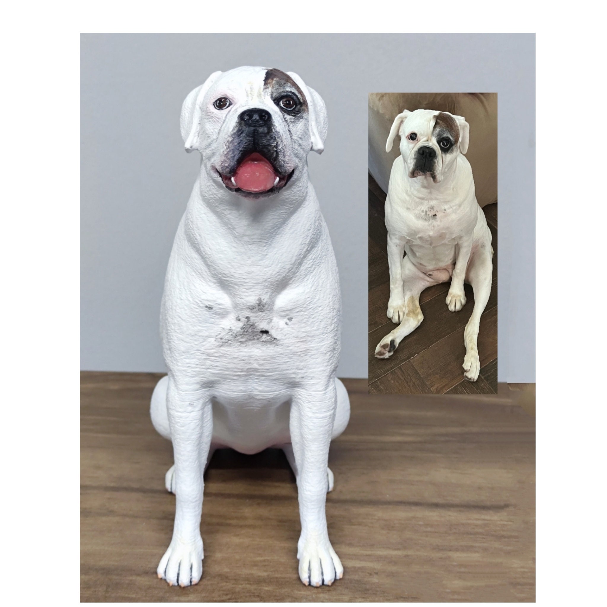 Bullenbeisser dog collars deals