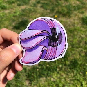 May include: Purple and white sticker of a nautilus shell with the text "JASMINDNOWS" on the side.