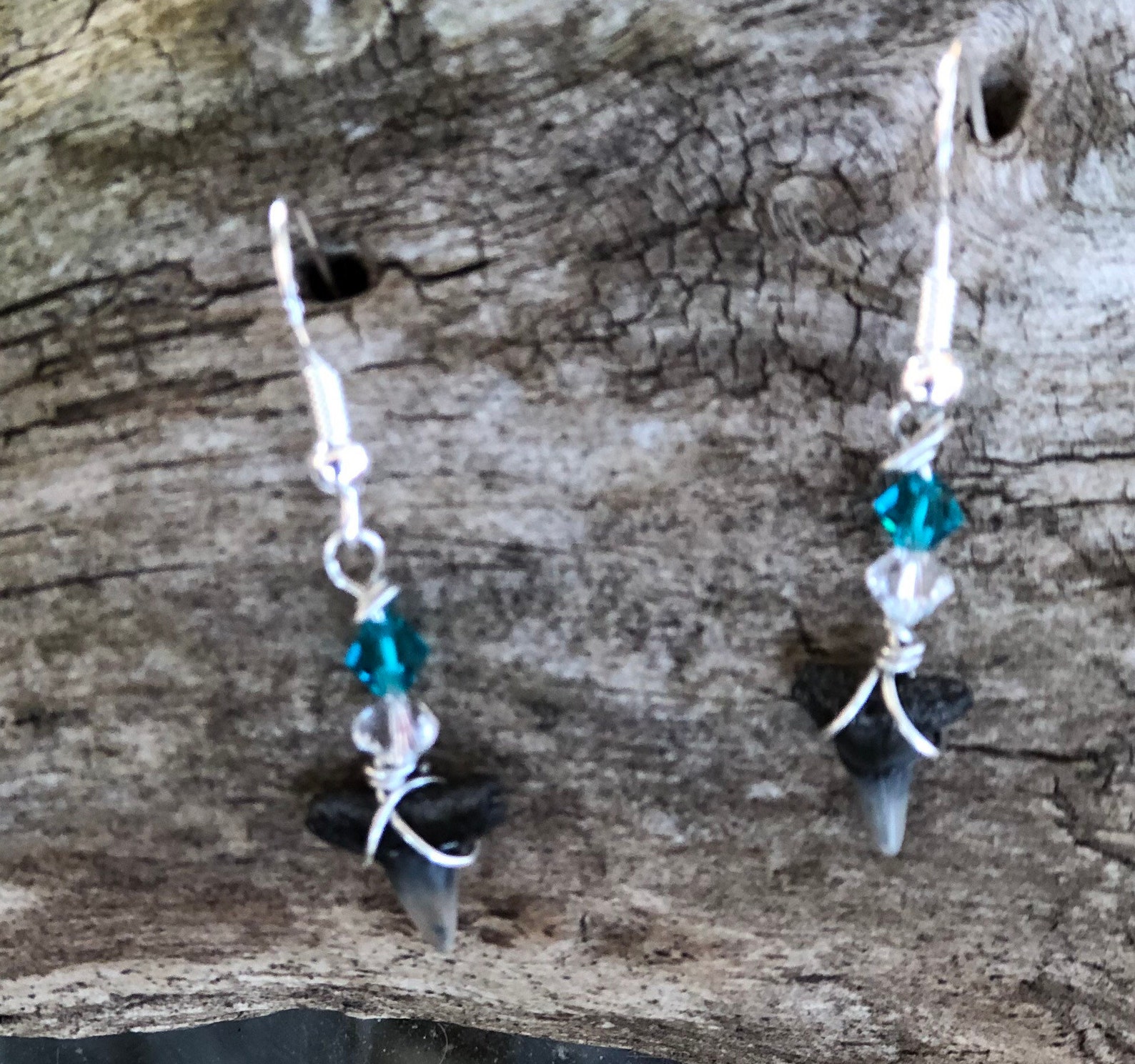 Fossilized Shark Tooth Earrings With Swarovski Crystals - Etsy