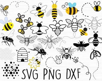 Free Real Bee Svg SVG PNG EPS DXF File