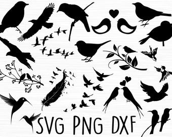 Download Bird Svg Etsy