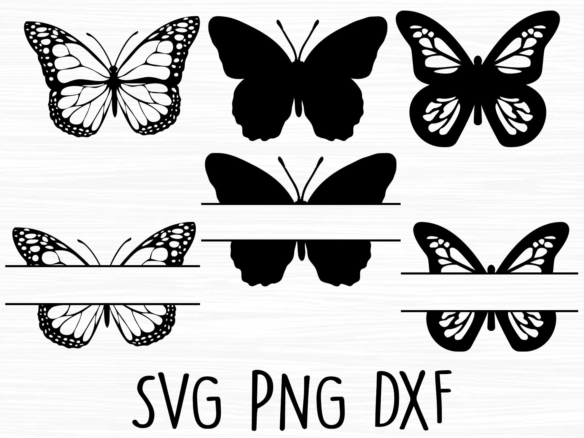 Butterfly Svg, Butterfly Bundle Svg, Monogram Butterfly Svg, Butterfly  Monogram Svg, Split Monogram Svg, Monogram Svg, Svg Files for Cricut