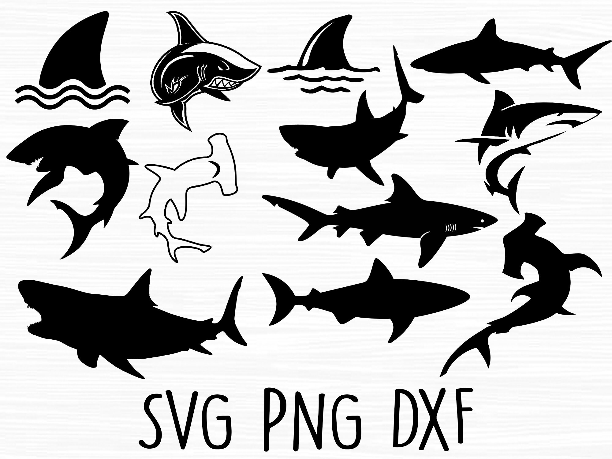 Shark Svg Shark Png Shark Silhouette Svg Shark Cricut File - Etsy Canada