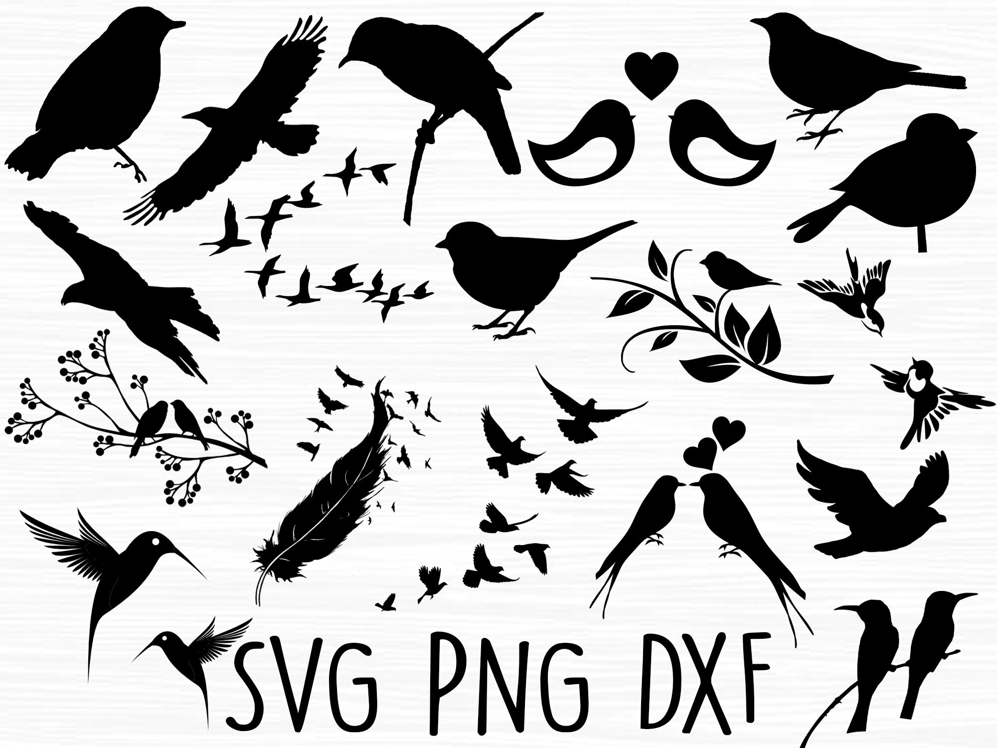 Bird Svg Bundle Birds Svg Love Birds Svg Bird Silhouette Etsy Australia