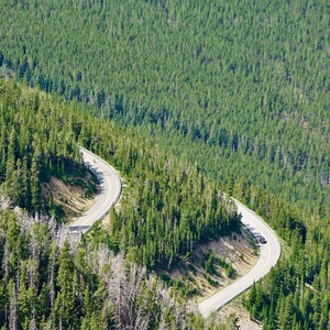 May include: An aerial view of a winding paved road through a dense forest of evergreen trees. The road curves sharply in two places, creating an 'S' shape.