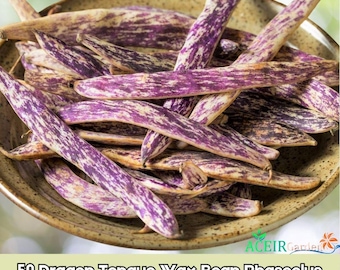 50 semillas de Phaseolus vulgaris (Lengua de Dragón) Envío rápido