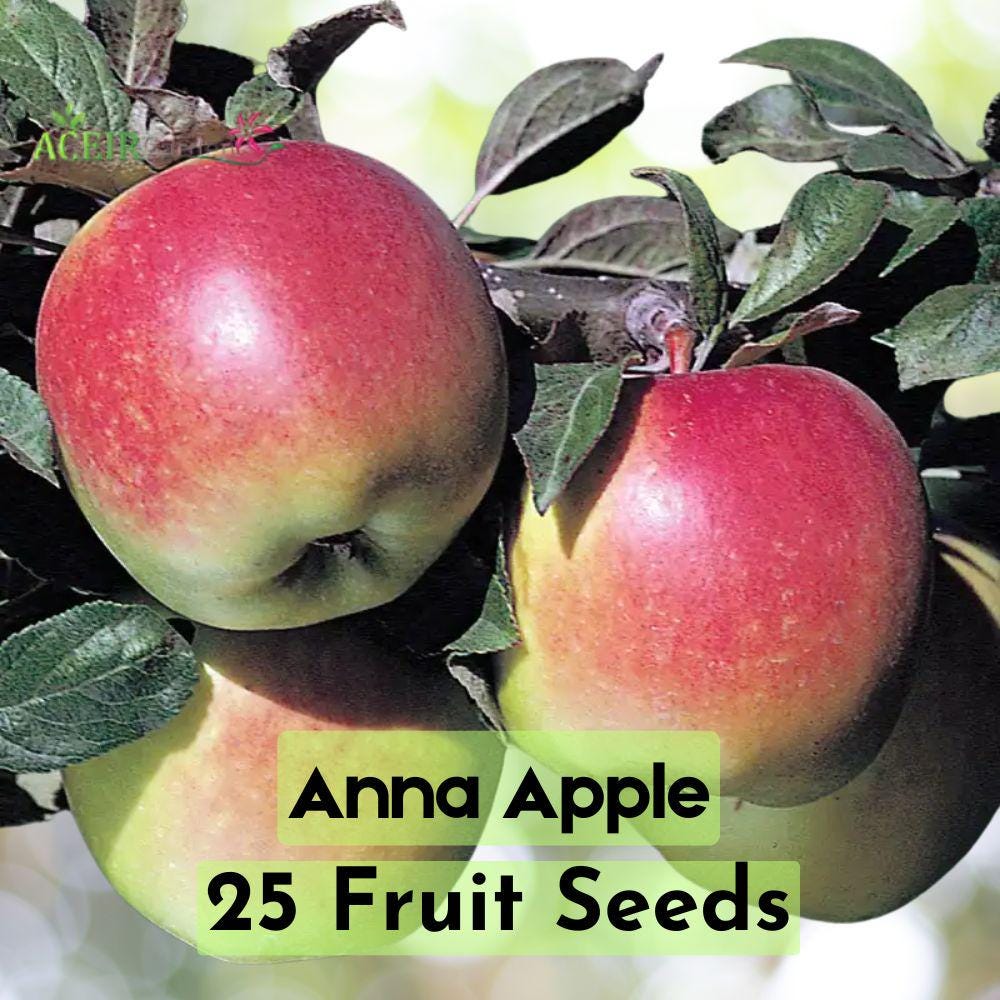 Mac (Apple) - anna！ Plant Me Green | Anna Apple | Apple Trees
