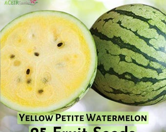 5 Yellow Watermelon Seeds TW91003 - Etsy