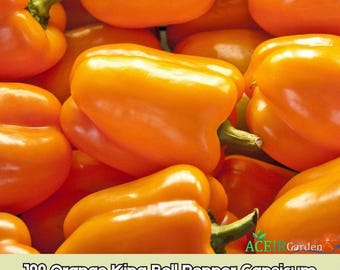 100 semillas de pimiento morrón Orange King (Capsicum annuum) Envío rápido