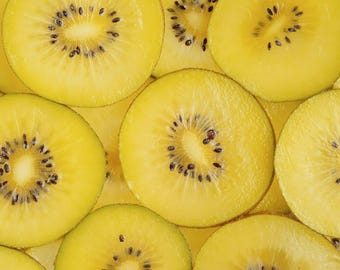 May include: Close-up of several slices of golden kiwi fruit. The fruit is a bright yellow color with a ring of black seeds around the center. The slices are arranged closely together, filling the frame.