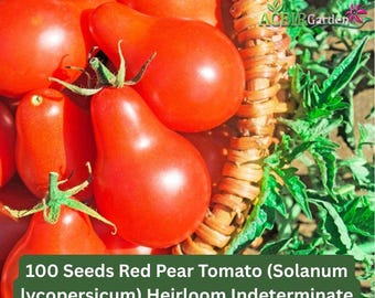 100 Seeds Red Pear Tomato (Solanum lycopersicum) Heirloom Indeterminate Fast Shipping