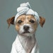 see more listings in the Pet Portrait section
