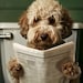 see more listings in the Pet Portrait section