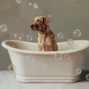 May include: A golden retriever dog sits in a white bathtub with bubbles floating around it. The dog is looking to the left of the image.
