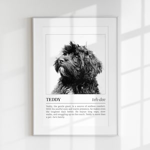Op de afbeelding: Zwart-witfoto van een hond genaamd Teddy. De foto is in een wit frame met een zwarte rand. De tekst onder de foto luidt: "Teddy, de zachtaardige reus, is een bron van eindeloze troost. Met zijn gevoelige ogen en warme aanwezigheid maakt hij zelfs de moeilijkste dagen beter. Hij geniet van lange dutjes, rustige wandelingen en knuffelen op de bank. Teddy is meer dan een huisdier - hij is familie."