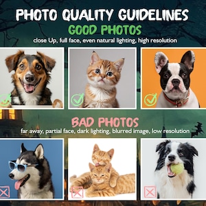 May include: An informational graphic titled PHOTO QUALITY GUIDELINES featuring six pet photos. The top row shows three good examples of clear, well-lit animal portraits. The bottom row displays three bad examples with poor lighting or obstructions.