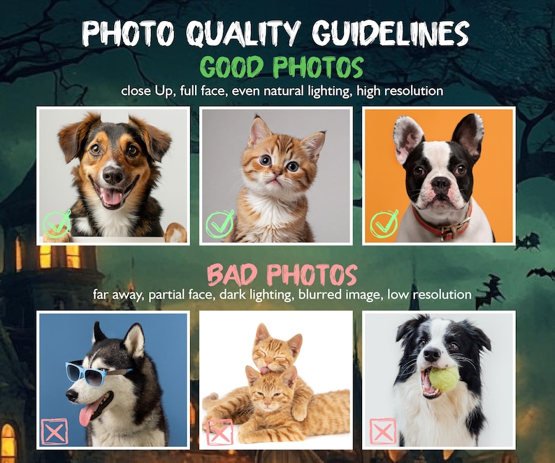 May include: An informational graphic titled PHOTO QUALITY GUIDELINES featuring six pet photos. The top row shows three good examples of clear, well-lit animal portraits. The bottom row displays three bad examples with poor lighting or obstructions.