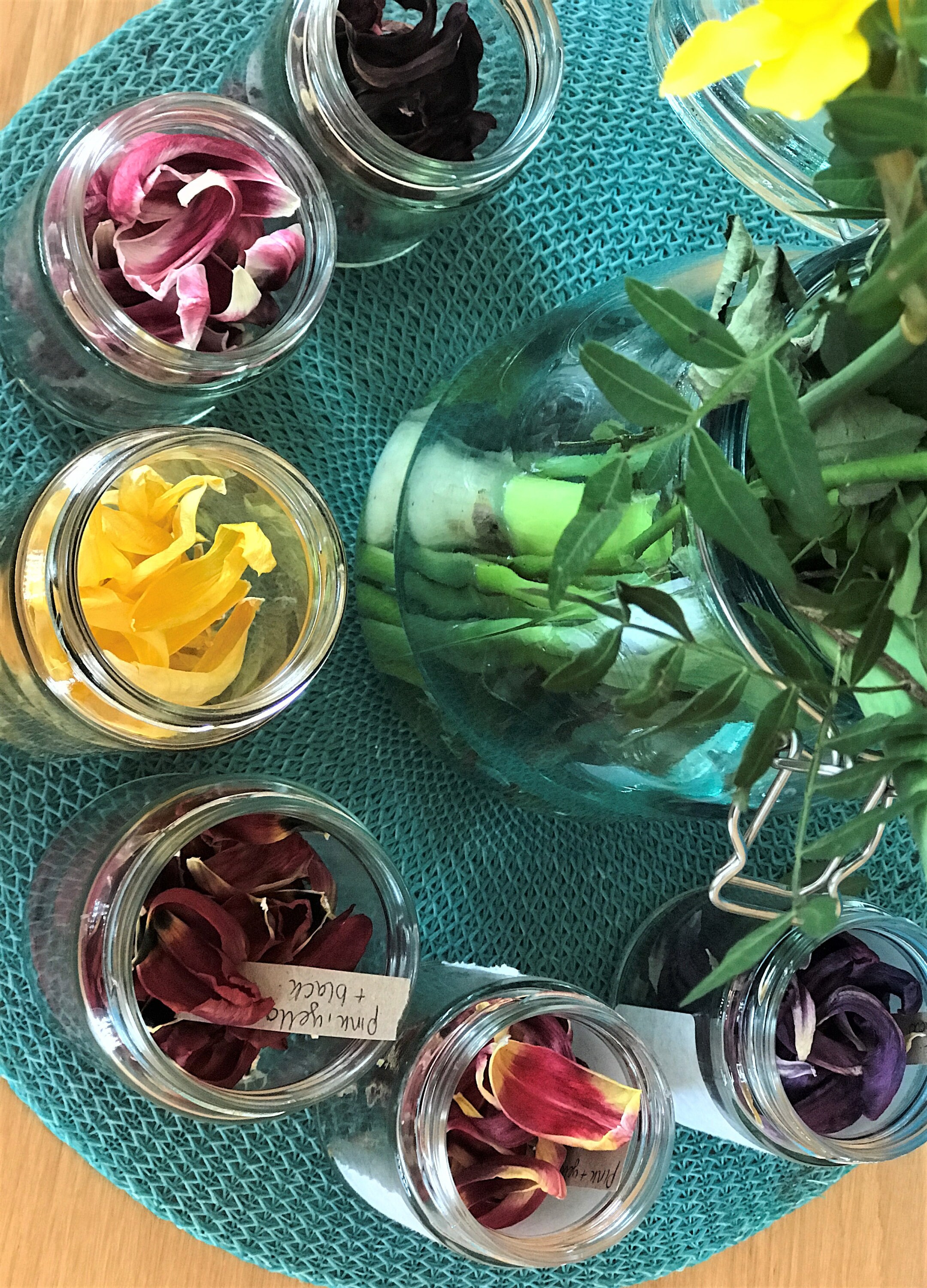 Dried tulip petals Tulip petals for crafts Tulip petals Etsy