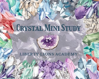 Crystal Mini Unit