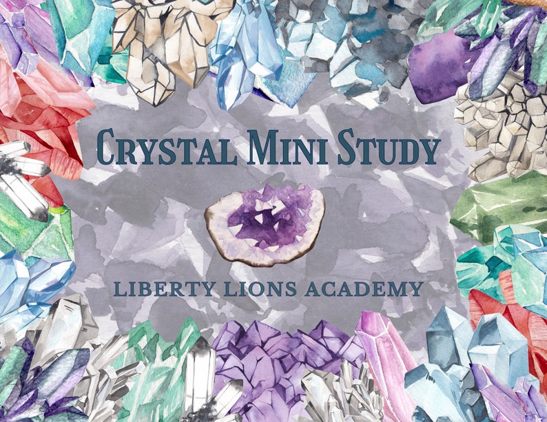 Crystal Mini Unit image 1