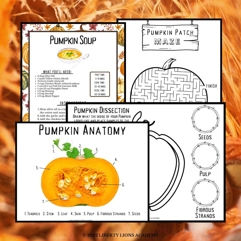 Decomposing Pumpkin Study Nature Journal Science Homeschool Unit Study Pumpkin Anatomy Dissection Fall Pumpkin Lifecycle Poem image 7