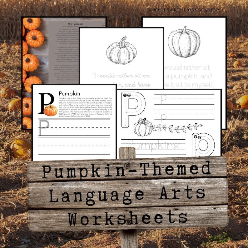 Decomposing Pumpkin Study Nature Journal Science Homeschool Unit Study Pumpkin Anatomy Dissection Fall Pumpkin Lifecycle Poem image 5