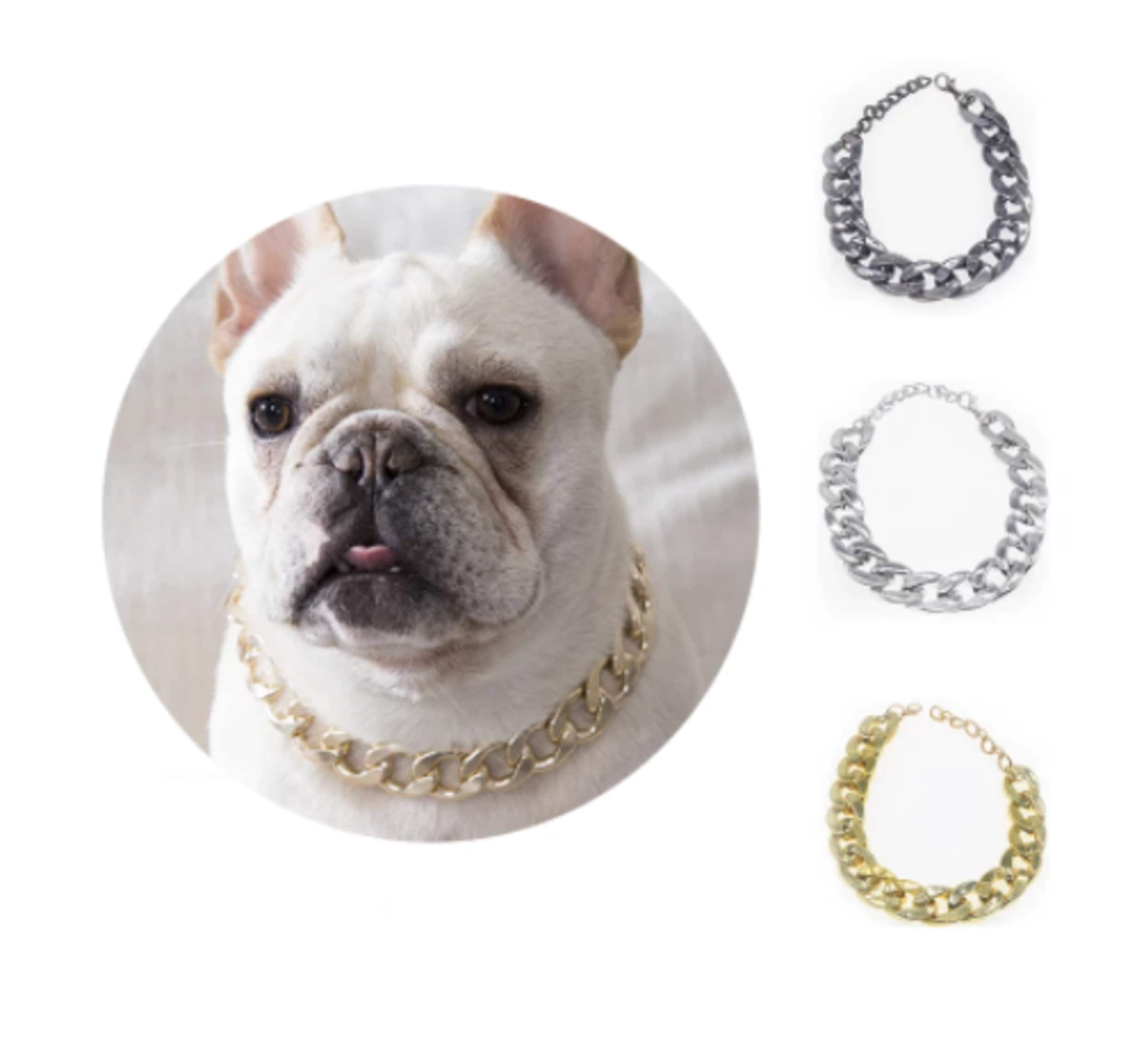 Französische Bulldogge Typ HipHop Stil große Goldkette kleine Etsy