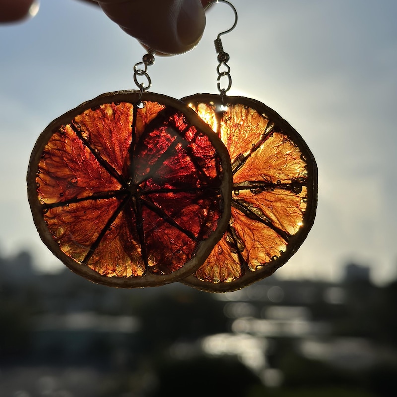Dried Citrus Resin - Etsy UK
