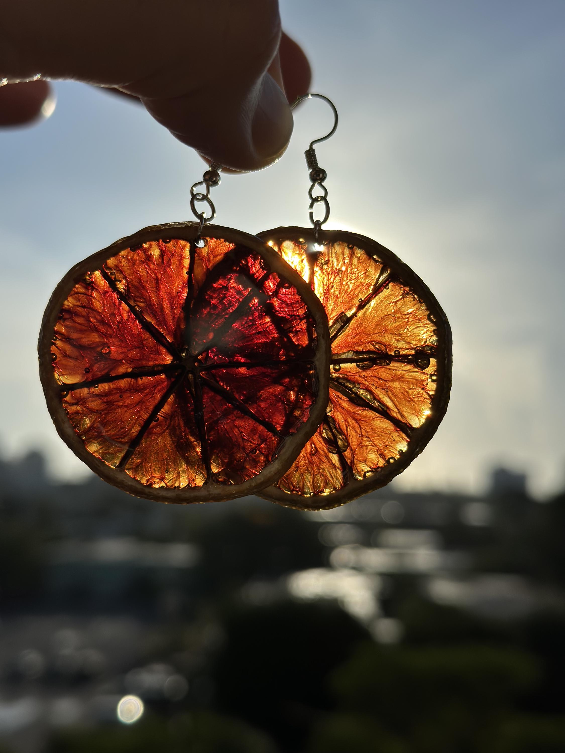 レイチェル専用♡dried fruits ピアス イヤリング Dried Fruit Earrings - Etsy