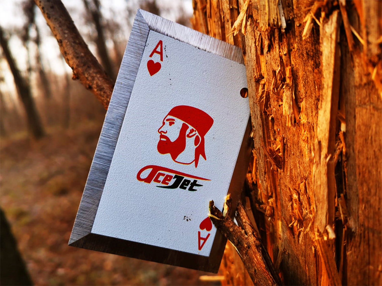 AceJet Stainless Steel Throwing Cards Etsy