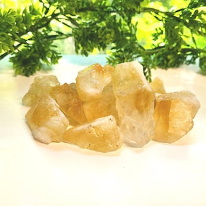 Peut inclure: Un groupe de cristaux de citrine bruts de couleur jaune-orange. Les cristaux sont bruts et ont un aspect naturel non poli.