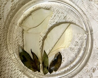 May include: A circular clear resin coaster featuring two pressed white calla lily flowers and several dark green leaves embedded within the material. The surface is smooth and transparent, showcasing the preserved botanical elements in a flat arrangement.