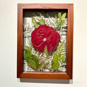 May include: A rectangular wooden frame containing a pressed botanical arrangement. A large, deep red flower is centered, surrounded by green fern leaves, various small green foliage, and delicate white filler flowers behind glass.