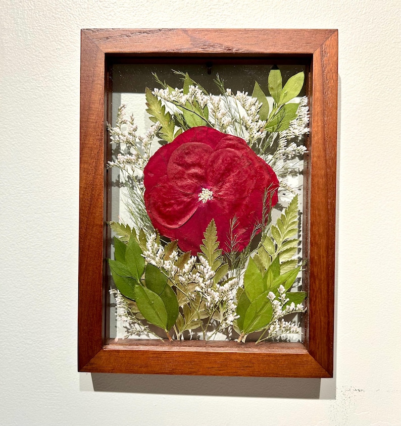 May include: A rectangular wooden frame containing a pressed botanical arrangement. A large, deep red flower is centered, surrounded by green fern leaves, various small green foliage, and delicate white filler flowers behind glass.
