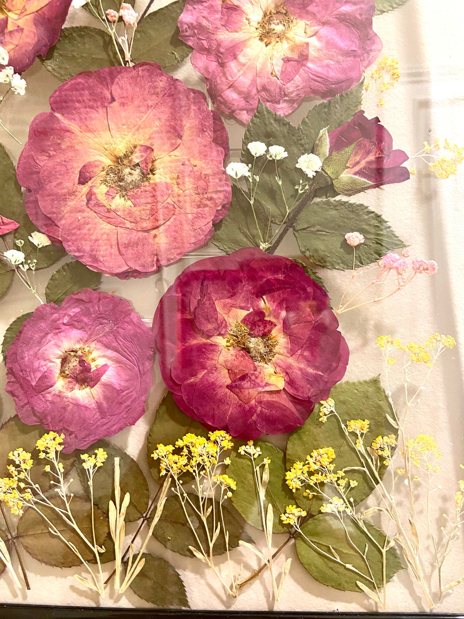 Pressed Flower Frame Dry Flower Frame Pressed Flower Art Glass Etsy