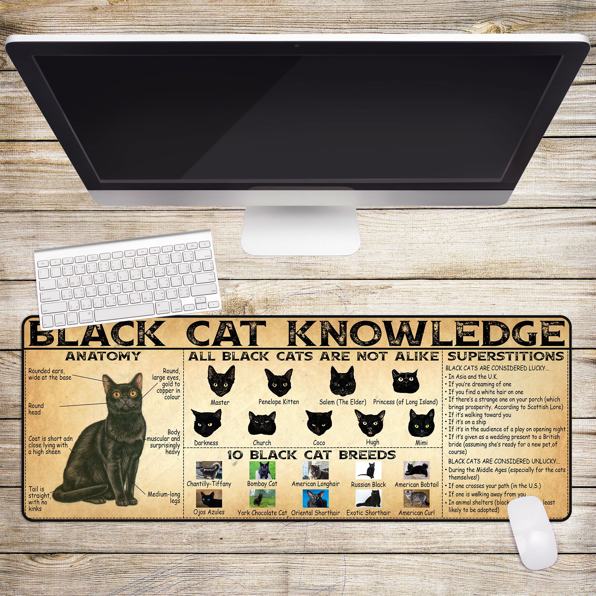 Black Cat Knowledge Mouse Padcustom mouse padpersonalized Etsy