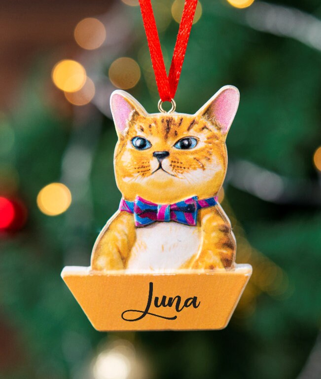 Cat Ornament Personalized Cat Keepsake Custom Cat Ornament Pet Etsy