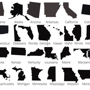 Solid State Permanente Vinyl Decal