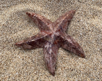 Pax the Marble Star Fish